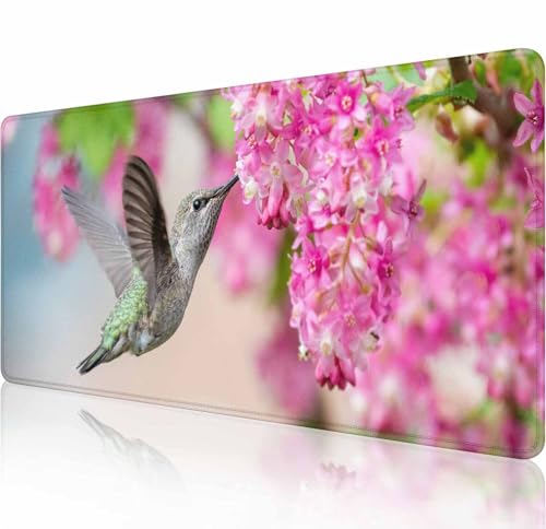 Schreibtischunterlage mit Kolibri mit rosa Blumen, großes Mauspad, Gaming-Mauspad, erweitertes XXL-Tastatur-Pad, 80 x 29 cm, Laptop, Computer, Maus, Tastatur, Matte für Büro, Schreibtischdekoration Schreibtischunterlage mit Kolibri mit rosa Blumen, großes Mauspad, Gaming-Mauspad, erweitertes XXL-Tastatur-Pad, 80 x 29 cm, Laptop, Computer, Maus, Tastatur, Matte für Büro, Schreibtischdekoration von Solekla