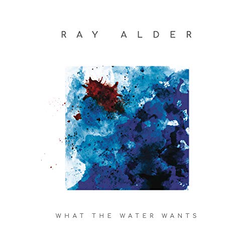 What the Water Wants (black LP+CD) [Vinyl LP] von Sony Music