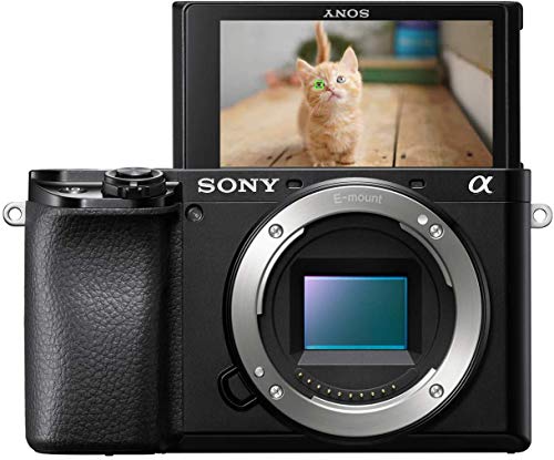 Sony Alpha 6100 | APS-C Spiegellose Kamera ( Schneller 0,02s-Autofokus, Autofokus mit Augenerkennung für Mensch und Tier, 4K-Filmaufnahmen und neigbares Display) von Sony