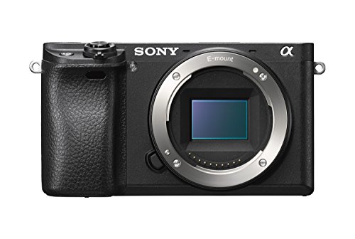 Sony Alpha 6300 E-Mount Systemkamera (24.2 Megapixel, 7,5 cm (3 Zoll) Display, XGA OLED Sucher) schwarz von Sony