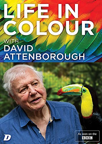 Life in Colour with David Attenborough [DVD] [2021] von Spirit Entertainment