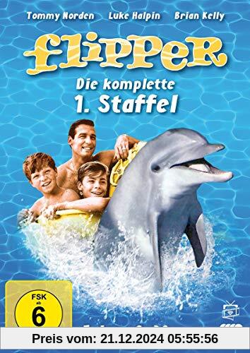 Flipper - Die komplette 1. Staffel [4 DVDs] von Stanley Z. Cherry