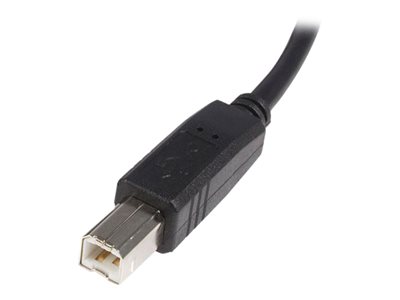 STARTECH 2m USB 2.0 A to B Cable - M/M von StarTech.com