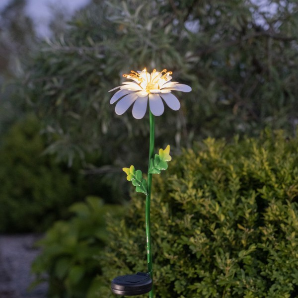 LED Solarstab Gänseblümchen - 10 warmweiße Dew Drop LED - H: 77cm -... von StarTrading