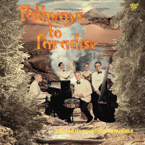 Pathways to Paradise [Vinyl LP] von Subliminal Sounds