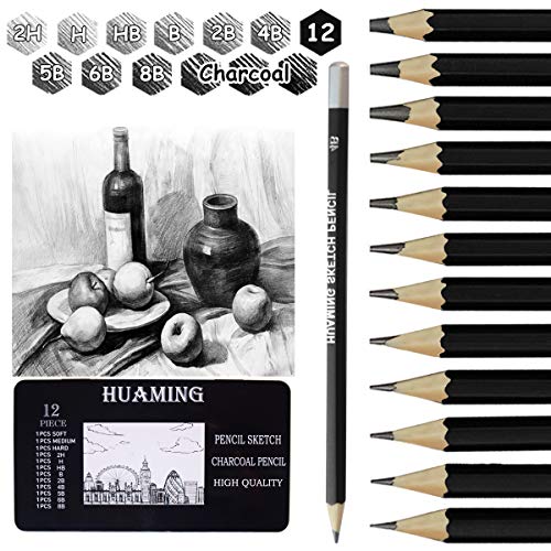 Surcotto Bleistifte Set, 9 Bleistifte mit 3 Kohlestifte, 1 Spitzer, 1 Radiergummi, 2H H HB B 2B 4B 5B 6B 8B, Zeichenstifte für Anfänger Künstler, professionelle Graphitstift Surcotto Bleistifte Set, 9 Bleistifte mit 3 Kohlestifte, 1 Spitzer, 1 Radiergummi, 2H H HB B 2B 4B 5B 6B 8B, Zeichenstifte für Anfänger Künstler, professionelle Graphitstift von Surcotto
