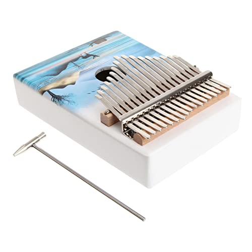 TOYANDONA 1 Satz 6 Stück 17 Daumen Leise verdrahtet Klaviatur elektronisch Midi- musikinstrumente musical instruments + Kalimba mit 17 Tasten für Anfänger Kalimba für Anfänger Metall von TOYANDONA