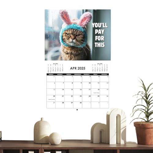 28 x 22 x 0,5 cm großer Kalender 2025, lustiger Katzenkalender 2025, Angry Cat Kalender, personalisierter kreativer wütender Katzenkalender, Monatskalender, Katzenmuster, Terminplanung 2025, von TQEBWUS