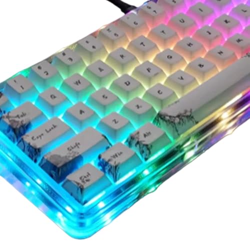 Benutzerdefinierte mechanische Tastatur mit RGB-Dichtung und Su68-Magnetschalter, Aluminium, verkabelt, geringe Latenz Kompatibel mit PC-Gamer(Transparent) von TRyYCB