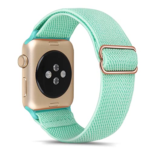 Tasikar Solo Loop Band Kompatibel mit Apple Watch Armband 42mm (Serie 10) 41mm 40mm 38mm, Nylon Elastisches Armband Ersatzarmband Kompatibel mit iWatch SE2 SE Serie 10/9/8/7/6/5/4/3/2/1 (Cyan-Blau) von Tasikar