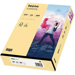 tecno Kopierpapier colors chamois DIN A4 120 g/qm 250 Blatt von Tecno