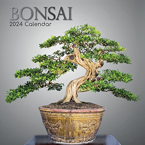 Bonsai 2024 – 16-Monatskalender: Original The Gifted Stationery Co. Ltd [Mehrsprachig] [Kalender] (Wall-Kalender) von The Gifted Stationery