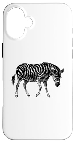 Hülle für iPhone 16 Plus Afrikanischer Zebra von The New Antique