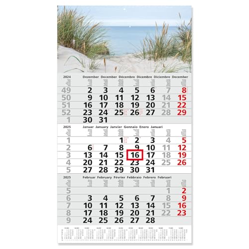 Timr 3-Monatskalender 2025 Dünen Meer I Fußleisten-Jahreskalender 30 x 53 cm I mehrsprachig D/GB/F/I/E/NL Jahresplaner mit Schieber und Aufhängeöse Schlicht Elegant I tr_265 von Timr