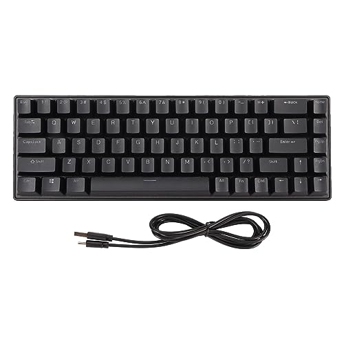 Topiky 60% Mechanische Tastatur mit Blauem Schalter, 10 RGB Hintergrundbeleuchtungsmodi, N Key Rollover, Kompakte Kabelgebundene USB C Gaming Tastatur für Computer, Gaming Tastatur mit von Topiky