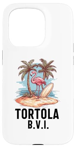 Hülle für iPhone 15 Pro Tortola B.V.I Britische Jungferninseln Souvenir Urlaub von Tortola B.V.I British Virgin Islands Reminde