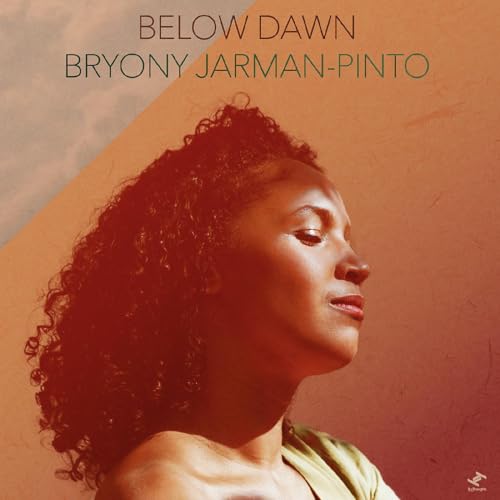 Below Dawn (Ltd. Black Vinyl 2lp) [Vinyl LP] von Tru Thoughts