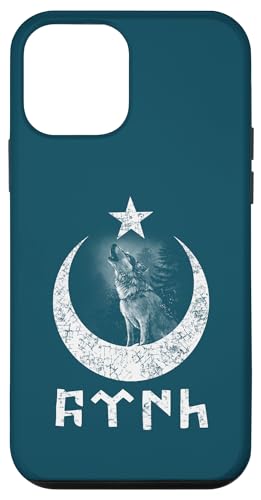 Hülle für iPhone 12 mini Göktürk Schrift, Hilal ve Yildiz & Bozkurt (türkisch) Design von Türk Bozkurt Ergenekon Göktürk Turkish Fan Türkiye