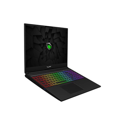 Tulpar T6 V1.2.1 i9-14900HX 32GB/1TB SSD 16"QHD 165Hz RTX4080 W11 von Tulpar