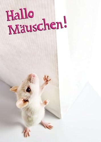 Tushita Postkarte Tiere: Hallo Mäuschen! von Tushita