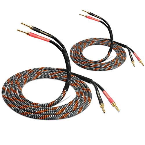 2 Pack Bi-Wire Speaker Cable, Home Theater Premium Speaker Cable Wire with Gold-Plated Banana Tip Plugs, Audiophile Heavy Duty Braided Speaker Wire for Speakers Audio Amplifier Subwoofer von UCINNOVATE
