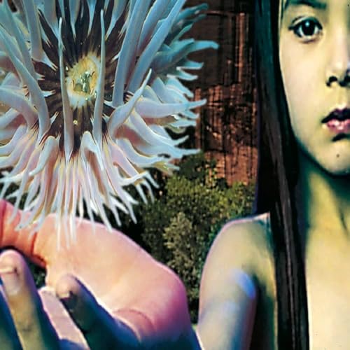 Lifeforms [Vinyl LP] von Universal Import