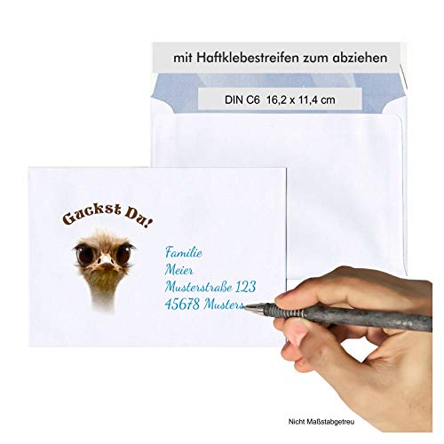 Briefumschlag lustiger Strauß C6 - selbstklebend, passend zu unseren Einladungskarten für Geburtstag oder Klassentreffen (40 Umschläge) von Unser-Festtag