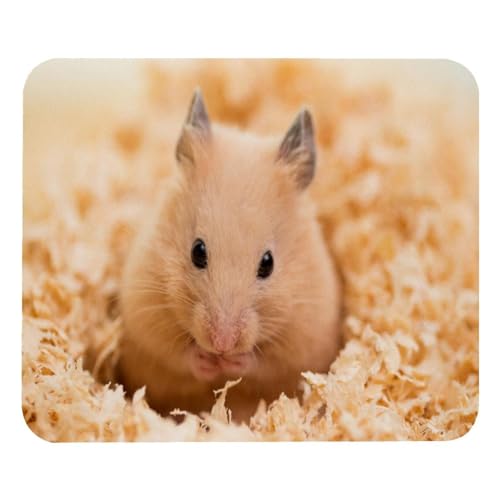 VAPOKF Mauspad mit goldenem Hamster auf Holzspänen, quadratisches Mauspad für Büro-Laptop, rutschfeste Gummiunterseite, Gaming-Mauspad, 21,1 x 24,9 cm von VAPOKF