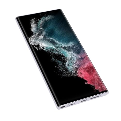 VELATEMOR Telefon-LCD-Bildschirmbaugruppe mit Rahmen, Reparatursatz 6,7 Zoll 500 Ppi 3088 X 1440 für S22 Ultra 5G SM S908U, AMOLED 2X-Display Im Vollbildmodus (Silver) von VELATEMOR