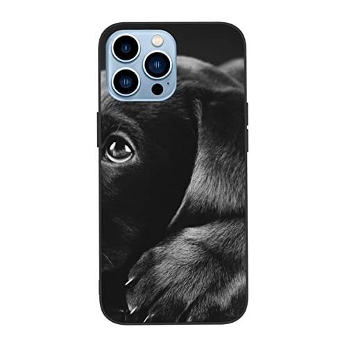 Welpen Hund Gedruckt Handyhülle für iPhone 13 Pro 6,1 Zoll/iPhone 13 Pro Max 6,7 Zoll Hüllen TPU Stoßfest Schutzhülle Handyhülle von VGFJHNDF