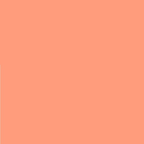 4 Stück - LEE Nr. 147 Apricot - 24 x 24 cm transparente, hitzebeständige, farbige Farbfolie für Foto Studio PAR 64 Scheinwerfer - Gel Farbfilter Filter Folie (4 Stück, Lee 147 Apricot) von Varytec