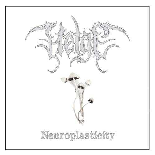 Neuroplasticity [Vinyl LP] von Vendetta (Broken Silence)