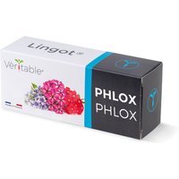 Véritable Lingot Phlox - Vorbepflanzte Erde von Veritable