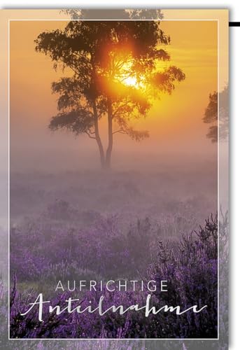 Verlag Dominique Kondolenzkarte Beileidskarte Trauerkarte Aufrichtige Anteilnahme Motiv Sonnenuntergang Baum lila Blumen Wiese mit Umschlag von Verlag Dominique