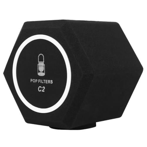 Vesdrtyr Windschutz Zur Geräuschreduzierung für Mikrofone, C2-Mikrofon-Filter, Akustik für Aufnahmestudios, Mikrofon-Schalldämpfungsschaum, Stimmisolationsball von Vesdrtyr
