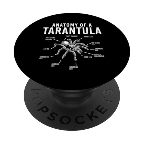 Anatomy Of A Tarantula Bird Spider PopSockets Klebender PopGrip von Vogelspinne Designs Tarantel Liebhaber