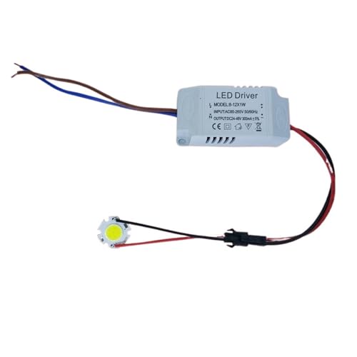 3W 5W 7W 10W COB LED +Driver Power Supply Built-in Constant Current Lighting 85-265V Output 300mA Transformer DIY(Warm White,3w) von WHRLQXM