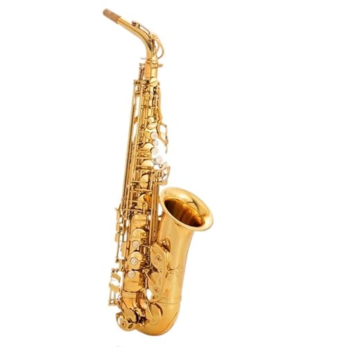 Anfänger Saxophon Altsaxophon In Es Mit Stofftasche Professionelles Performance-Modell Für Anfänger(Bag A) von WKRTGFHJ