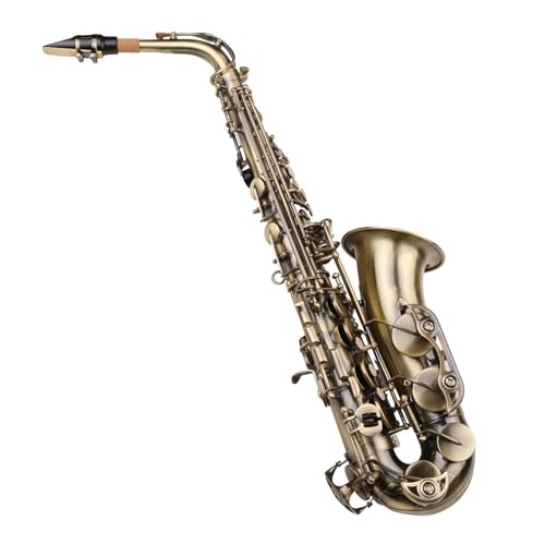 Anfänger Saxophon Eb-Altsaxophon Messing Lackiert Altsaxophon Blasinstrument Mit Tragetasche Handschuhen Riemen Reinigungstuch Bürste von WKRTGFHJ