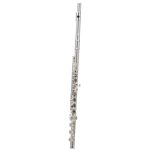 Querflöte Anfänger Mini-Flöte Versilbert 17 Löcher C-Flöten Tonart Holzblasinstrument(Silver) von WKRTGFHJ