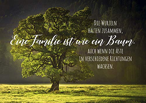 Neue Lebensart Postkarte Glückwunschkarte,Eine Familie ist wie ein Baum, Lustig - Zum Beschreiben und Versenden für besondere Anlässe – Premium Qualität – A6 von Wegmann