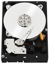 WD Red 3,5" (4TB) Bulk Interne 3,5" Festplatte von Western Digital