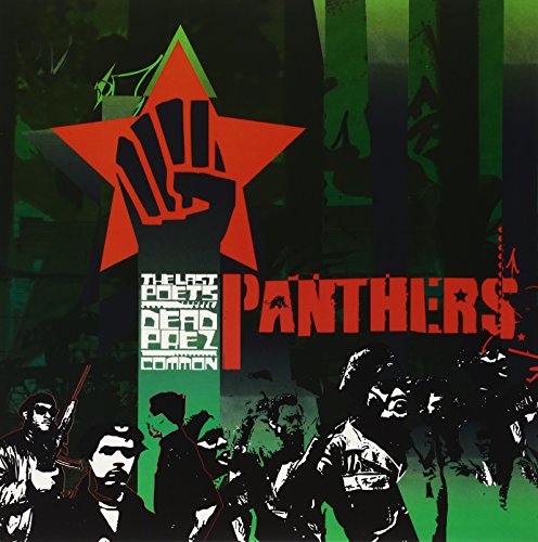 Panthers [Vinyl Single] von Why.Not-Mc