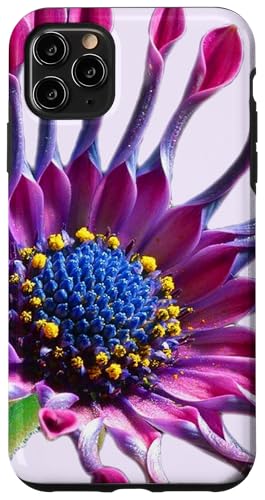 Hülle für iPhone 11 Pro Max Osteospermum Astra lila Löffel Gänseblümchen Blume von Wistful