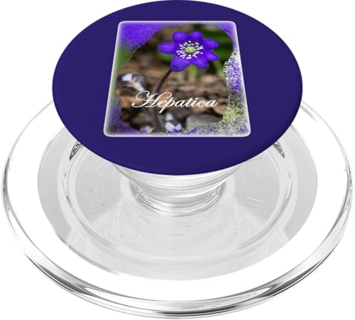 Lila Hepatica Blume Foto PopSockets PopGrip für MagSafe von Wistful