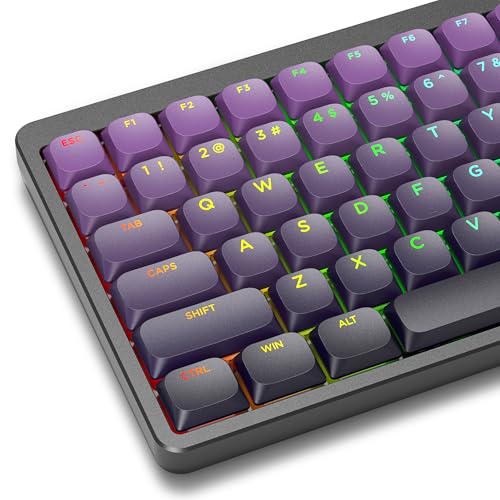 Womier Flache Tastenkappen, PBT-Tastenkappen, durchscheinend, benutzerdefinierte Tastatur-Kecaps 60, 65, 75, 100 % für Cherry Gateron MX-Schalter, mechanische Tastatur, Violett von Womier