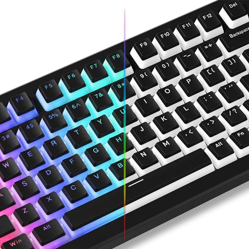 Womier Pudding-Tastenkappen, schwarze PBT-Tastenkappen, 100 % Tastatur, 130 Tasten, glänzende Tastenkappen, Tastatur-Tastenkappen, OEM-Profil für 100 %, 75 %, 65 %, 60 % Tastatur und MX-Stiel-Schalter von Womier