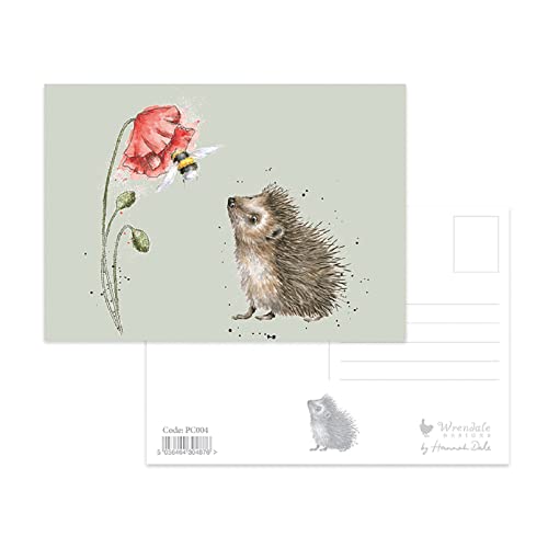 Wrendale - PC004 - Postkarte, Igel und Hummel, 10,5cm X 15cm, grün von Wrendale Designs