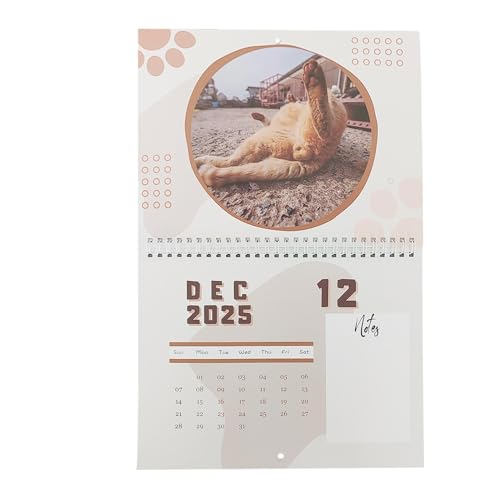 Wyttuubv Katzenball-Kalender 2025,Katzen-Hintern-Wandkalender 2025,Lustiger Kalender, monatlicher Wandkalender - Wall Decor Cat Butthole Jahresplaner, 12-Monats-Kalender 2025, Kalender zum von Wyttuubv