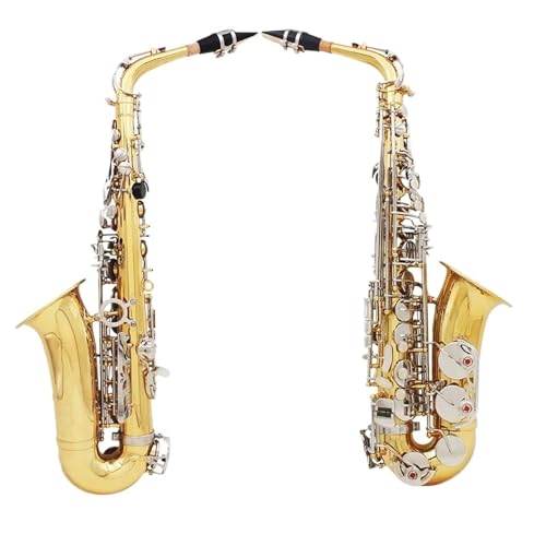 Altsaxophon Eb Altsaxophon Messing Professionelles Saxophon Musikinstrument Altsaxophon Mit Schilfriemen Zahnpolster Bürstenzubehör(B) von XSQKUYN